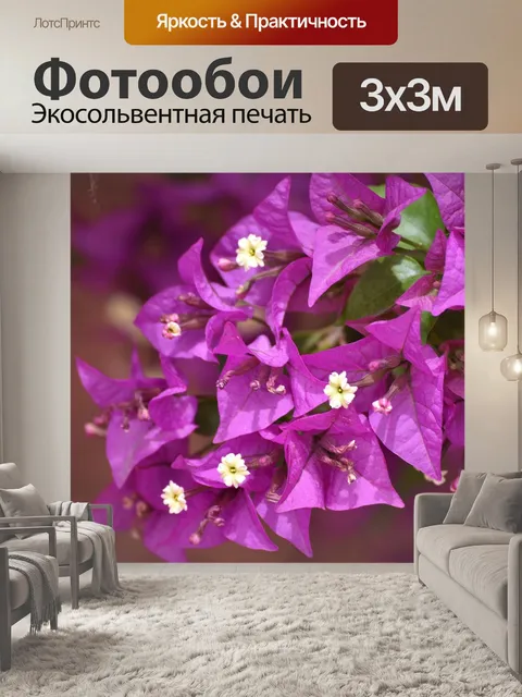 Фотообои Цветок