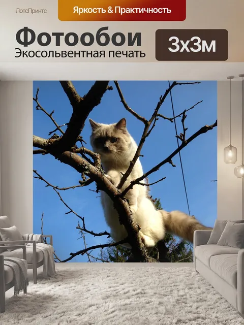 Фотообои Лотос