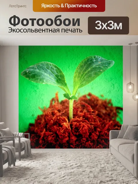 Фотообои Маленькое дерево