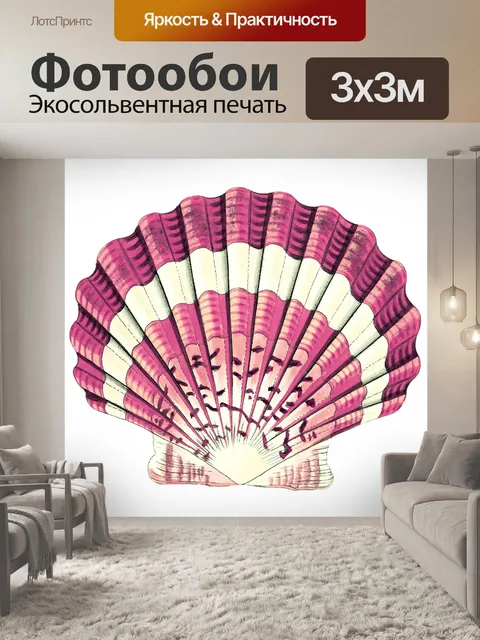 Фотообои Раковина улитка винтажное искусство