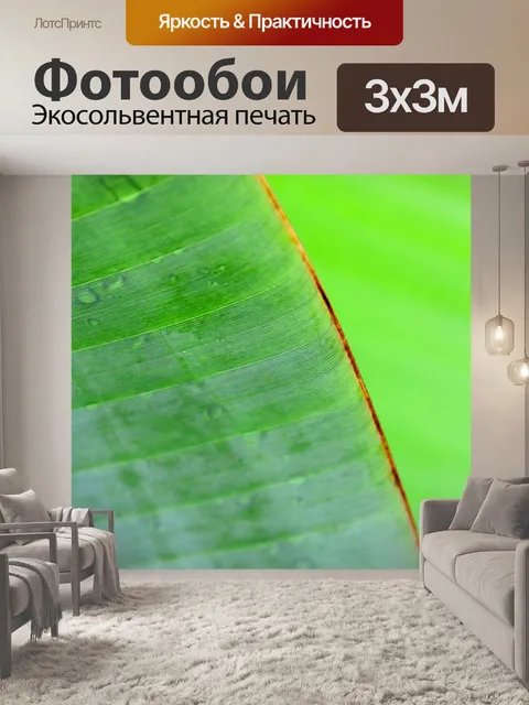 Фотообои Зеленый лист банан