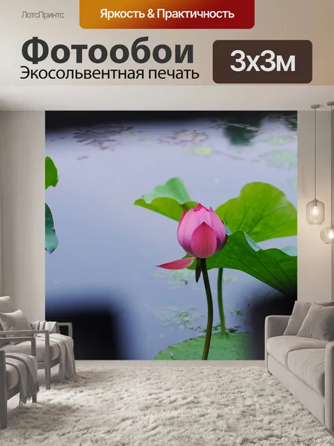 Фотообои Lotus