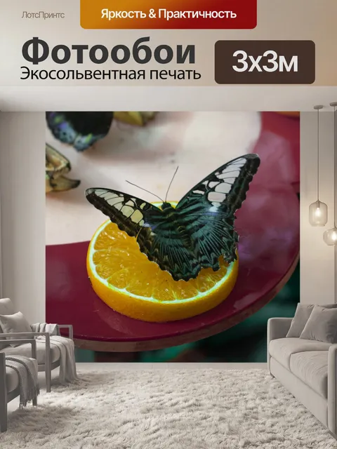 Фотообои Бабочка