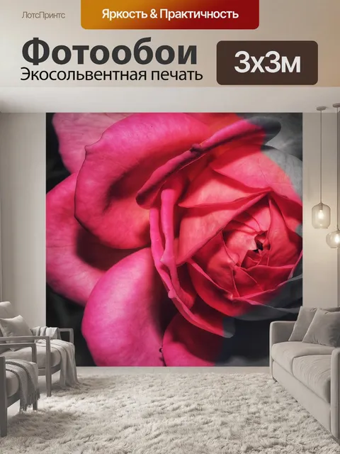 Фотообои Роза