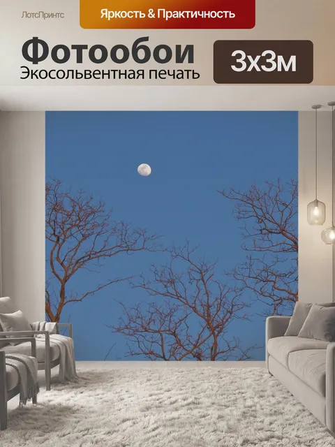 Фотообои Луна