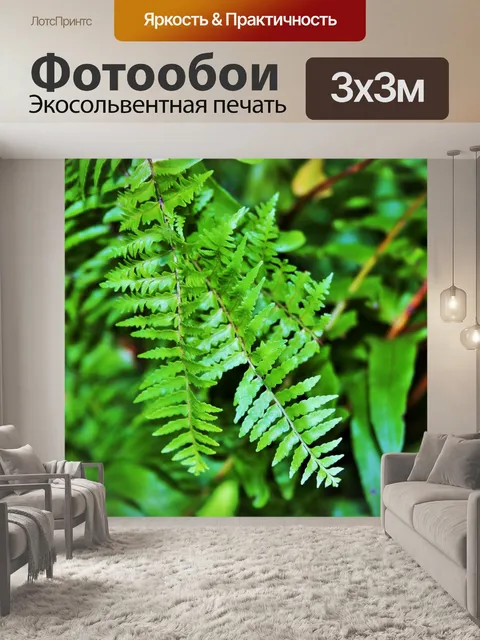 Фотообои мелкие листья папоротника