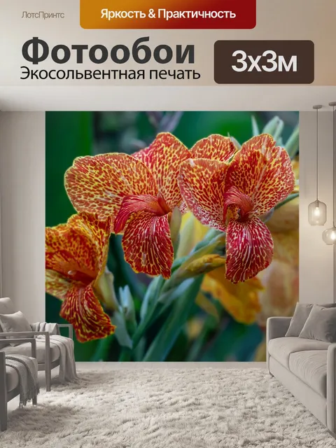 Фотообои Цветы