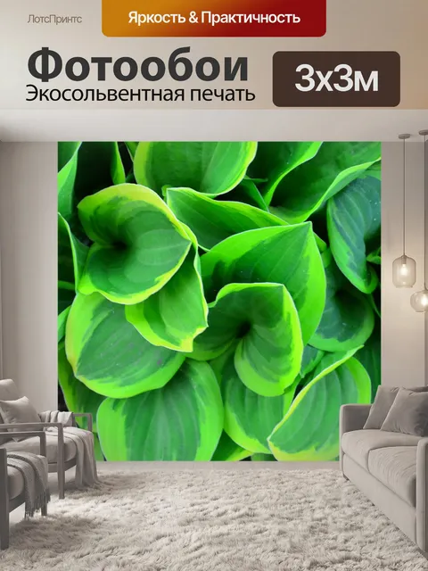 Фотообои Листья
