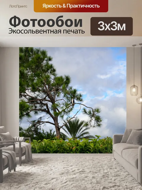 Фотообои Скопа в дикой природе