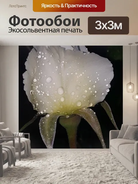 Фотообои Роза