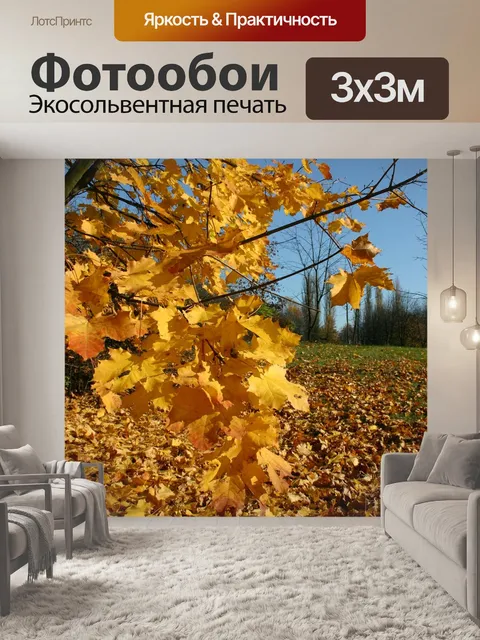 Фотообои Парк