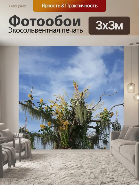 Фотообои Орхидеи