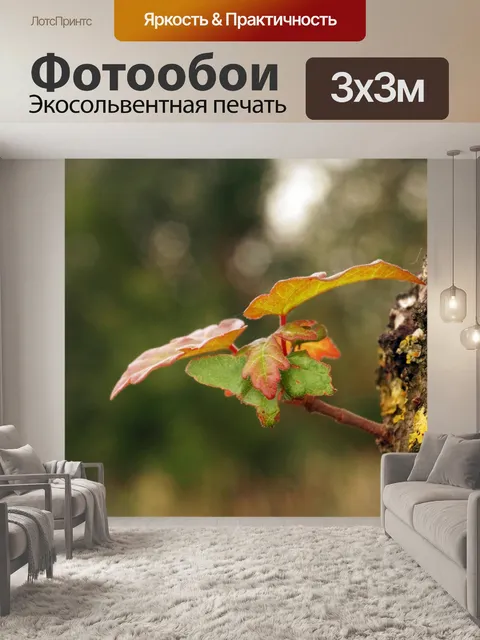 Фотообои Осенние листья ветка ствол дерева