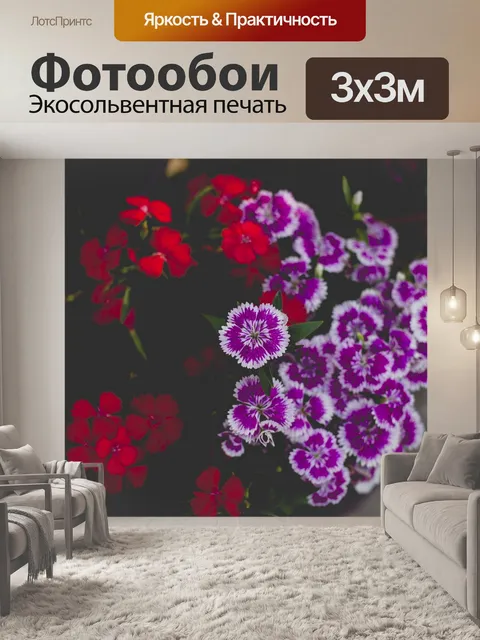 Фотообои Цветок