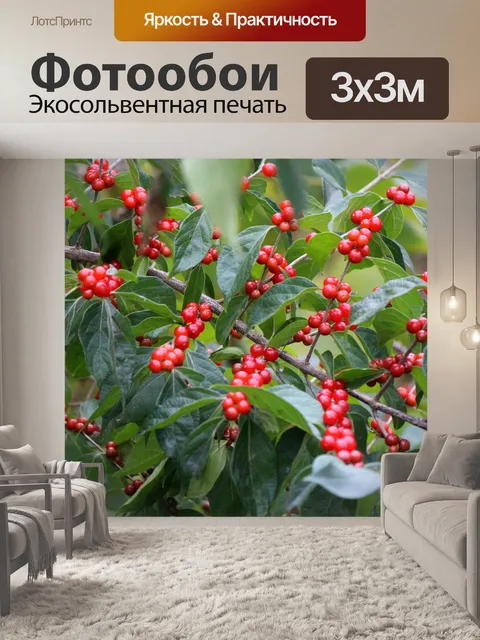 Фотообои Ягоды