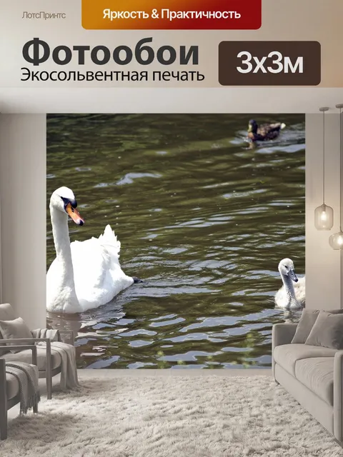 Фотообои Лебеди