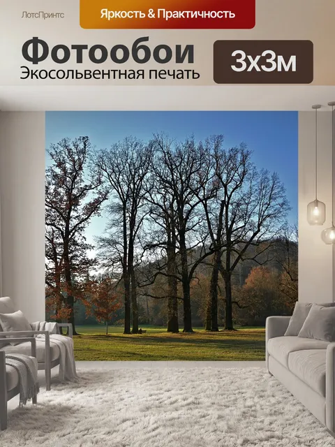 Фотообои Деревья