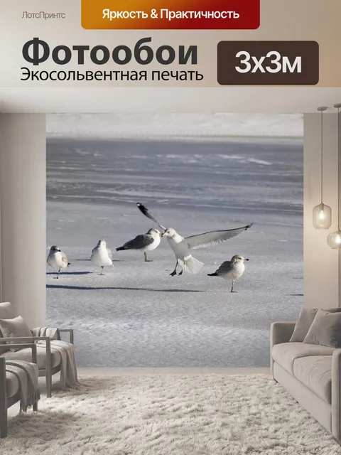 Фотообои Чайка