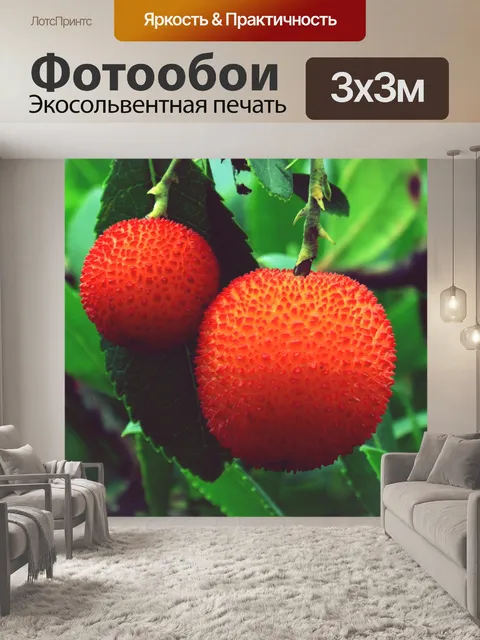 Фотообои Земляничное дерево