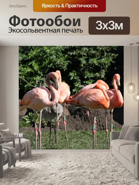 Фотообои Птицы