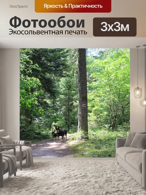 Фотообои Собаки на прогулке