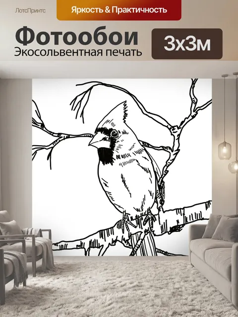 Фотообои Птица