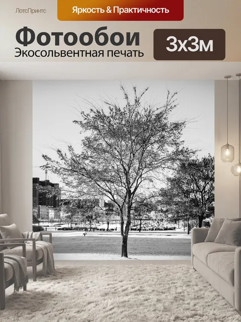 Фотообои Зима