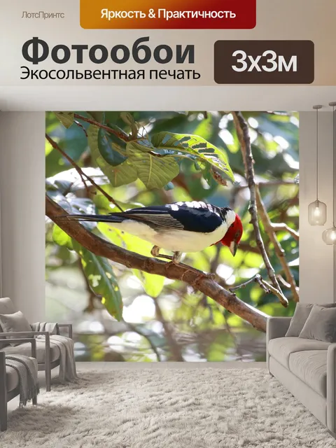 Фотообои Дерево