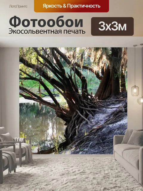 Фотообои Уникальные деревья 3