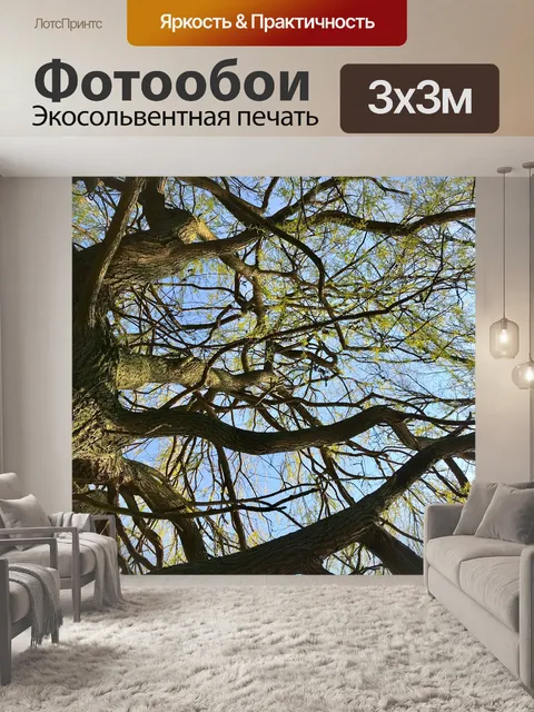 Фотообои Дерево