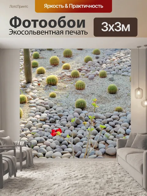 Фотообои Кактус культур