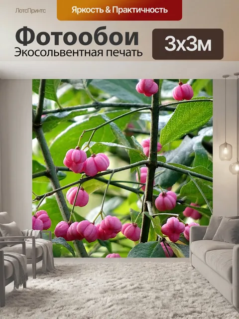 Фотообои Фрукты