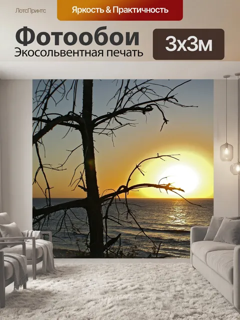 Фотообои Силуэты