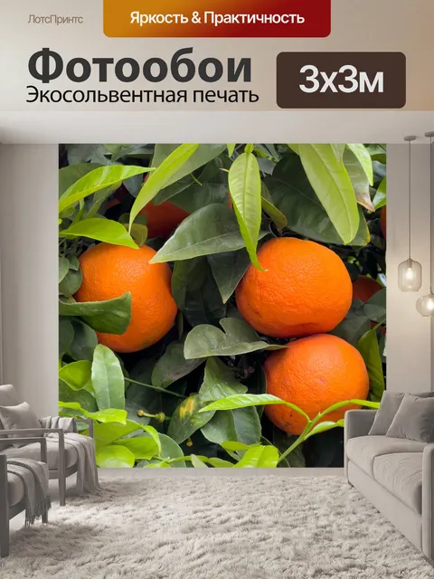 Фотообои Апельсины на дереве