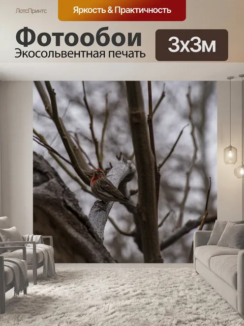 Фотообои Дом Финч на ветке