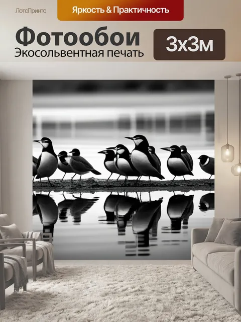 Фотообои с изображением птиц чернобелый