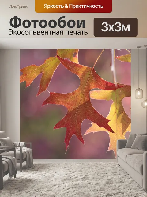 Фотообои Листья