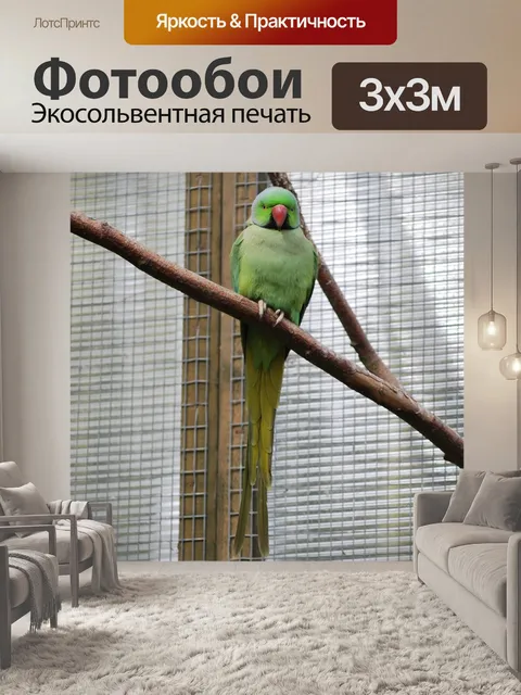 Фотообои Птица