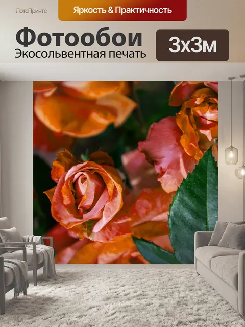 Фотообои Розы Цветочный фон
