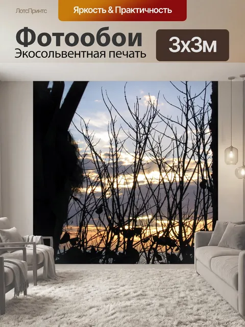 Фотообои Камыши