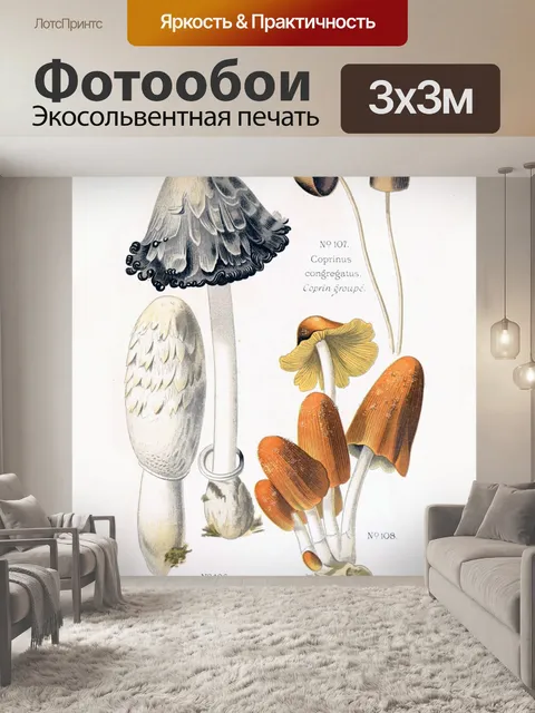 Фотообои Грибы винтаж арт старый