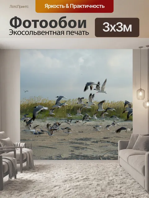 Фотообои Чайки Полет