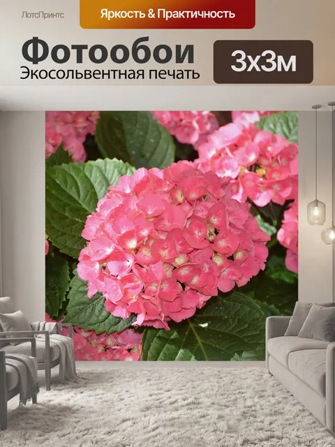 Фотообои Цветы гортензии розы