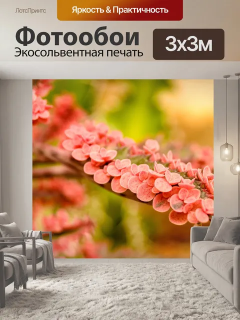 Фотообои Кактус пустынное растение