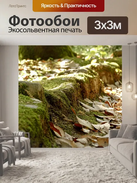 Фотообои Камень