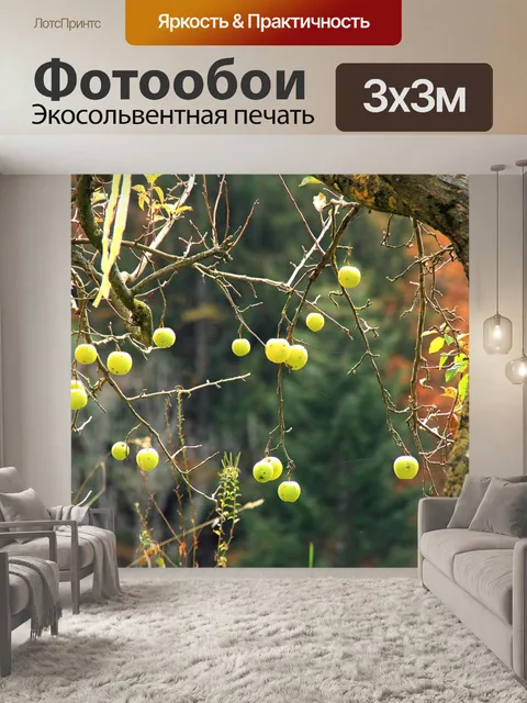 Фотообои Фрукты