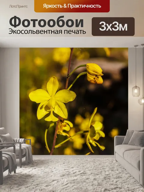 Фотообои Трава цветочное поле, полевые цветы