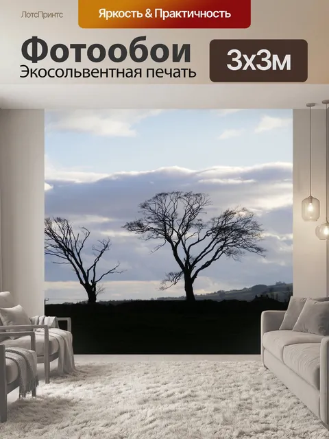 Фотообои Silhouettes