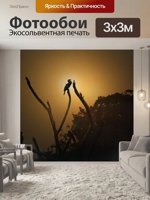 Фотообои Птица