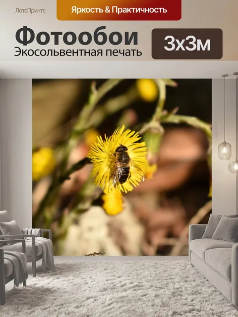 Фотообои Пчела